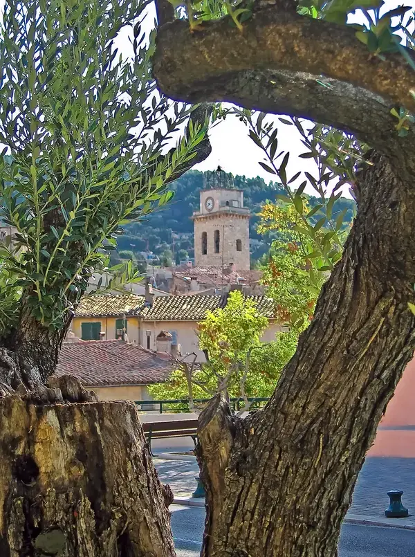 Monte Escalier Domicile Installation Monte escalier Ceyreste