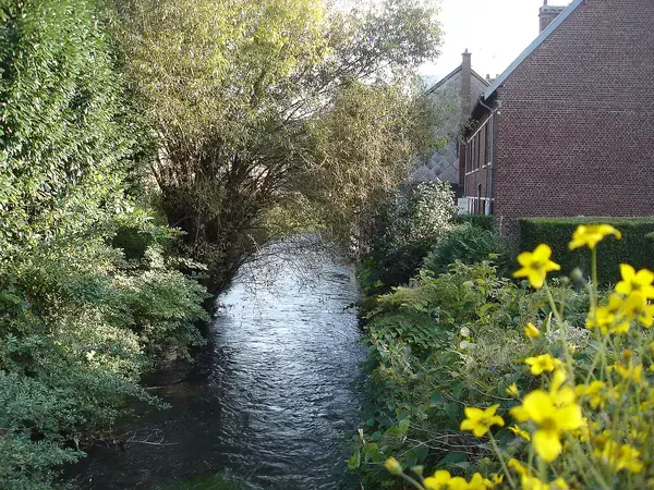 Monte Escalier Domicile Installation Monte escalier Déville-lès-Rouen