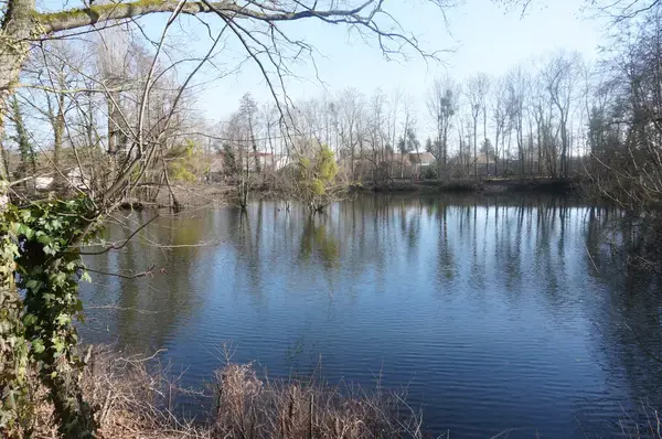 Monte Escalier Domicile Installation Monte escalier La Chapelle-Saint-Luc