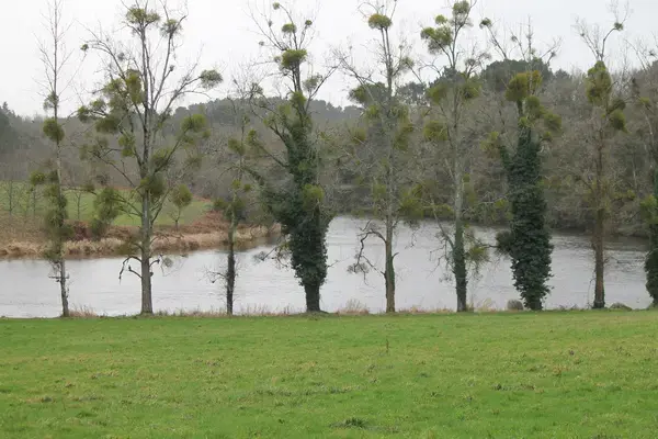 Monte Escalier Domicile Installation Monte escalier Muzillac