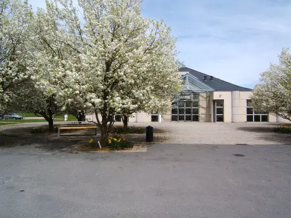 Monte Escalier Domicile Installation Monte escalier Olemps
