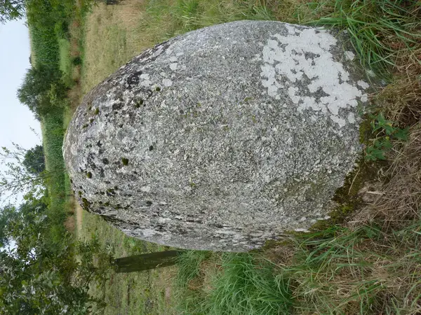 Monte Escalier Domicile Installation Monte escalier Plaintel