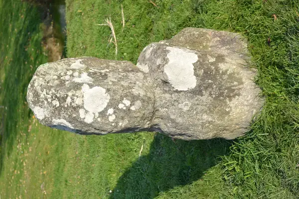 Monte Escalier Domicile Installation Monte escalier Prinquiau