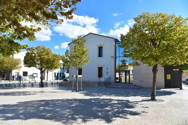 Monte Escalier Domicile Installation Monte escalier Vic-la-Gardiole